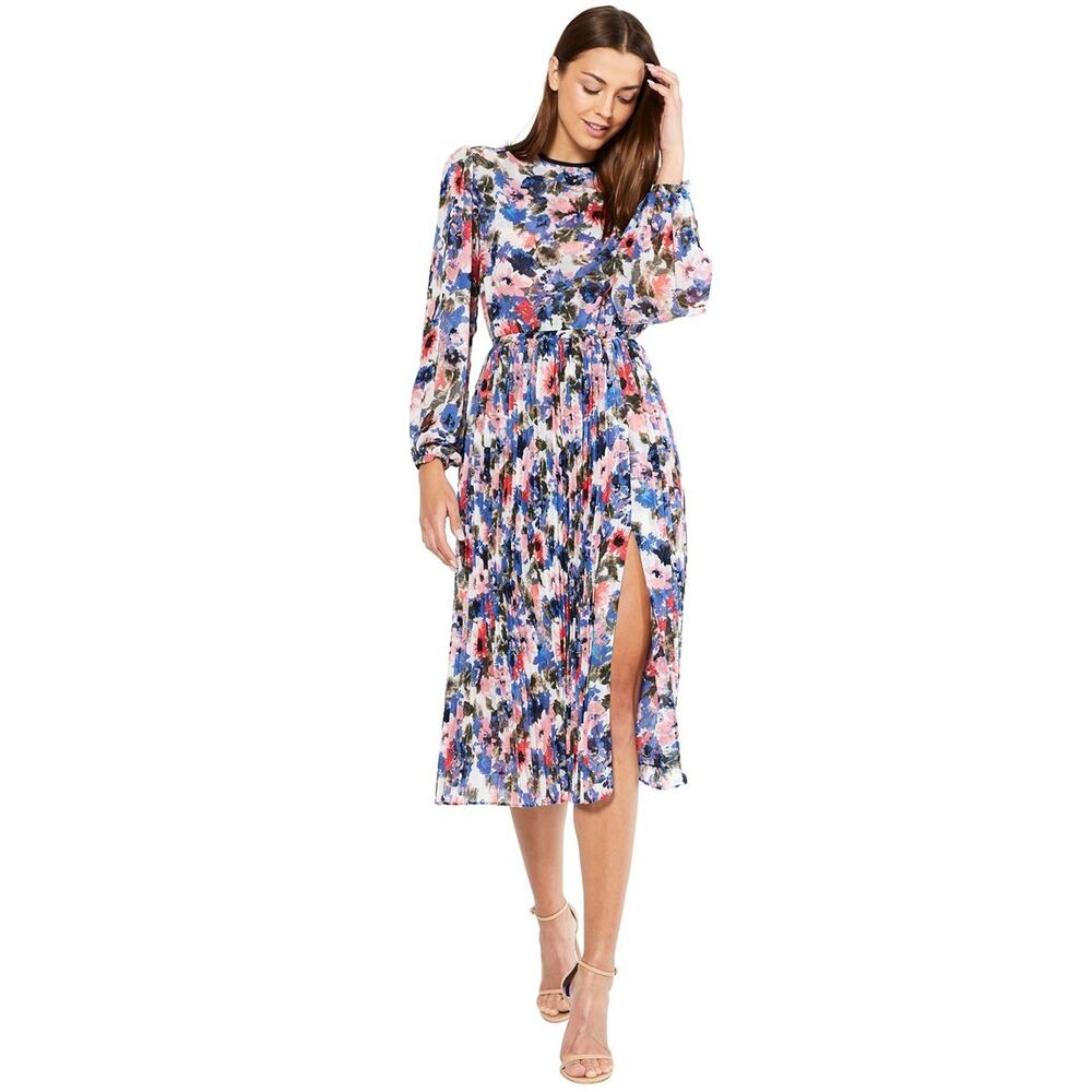 NWT Misa Los Angeles Juliana Dress Size XS Floral Pleated Chiffon Colorful Sheer